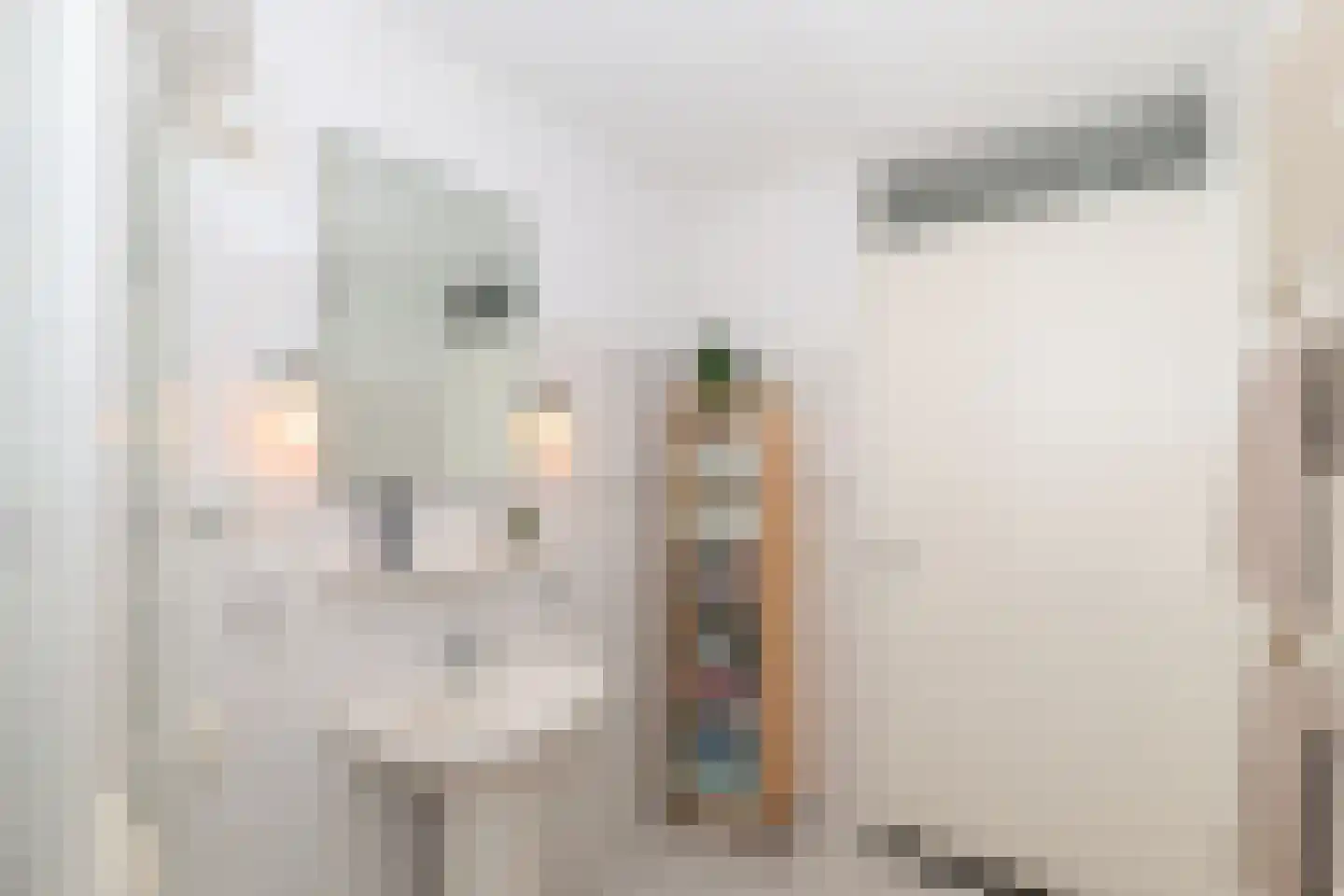 Slotlaan 3 Oostvoorne thumbnail 33