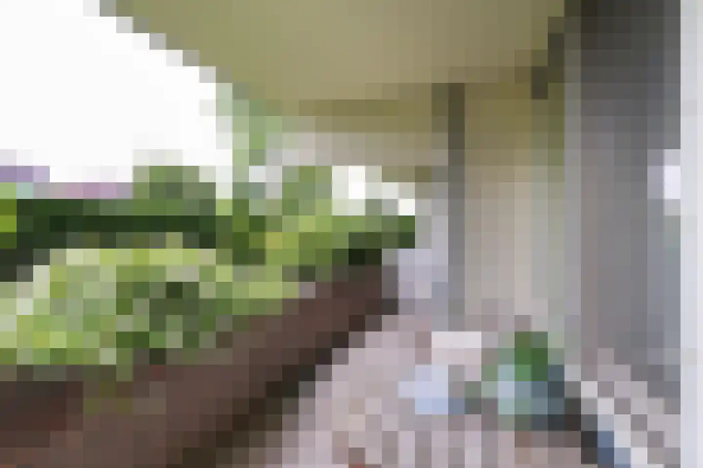 Slotlaan 3 Oostvoorne thumbnail 37