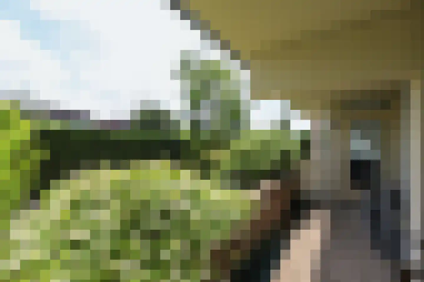 Slotlaan 3 Oostvoorne thumbnail 4
