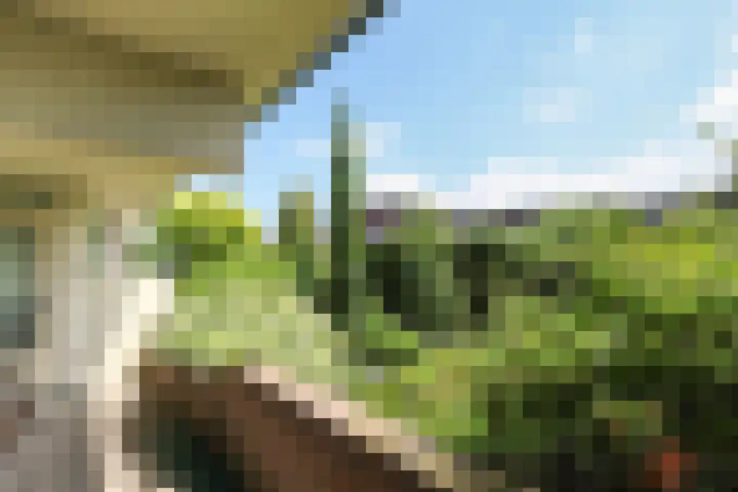 Slotlaan 3 Oostvoorne thumbnail 40