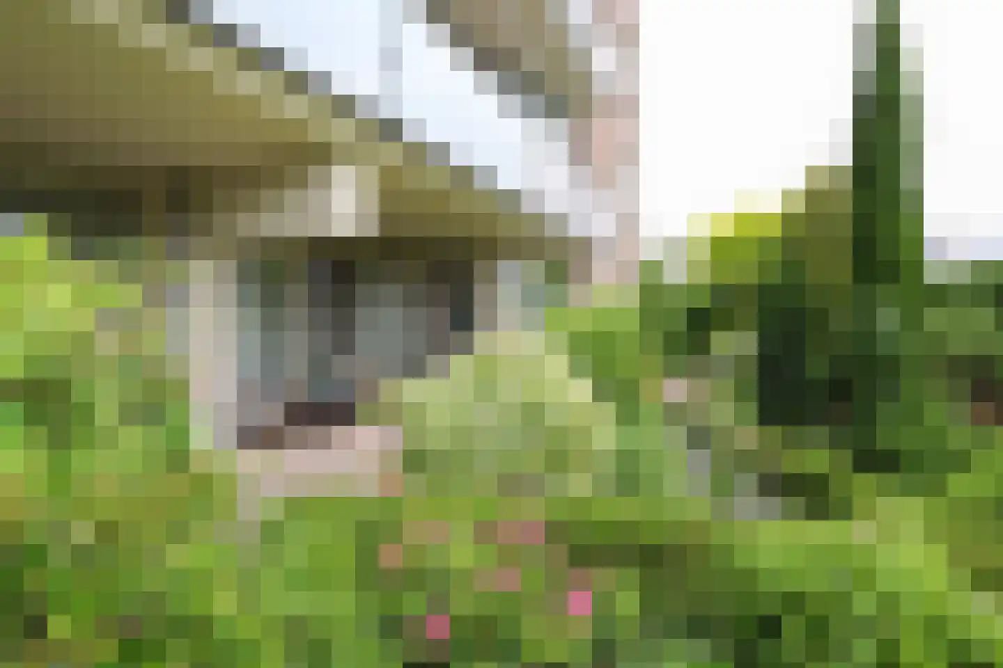 Slotlaan 3 Oostvoorne thumbnail 41