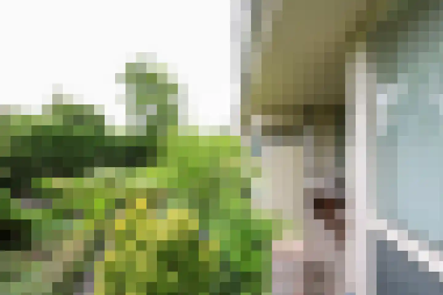 Slotlaan 3 Oostvoorne thumbnail 42