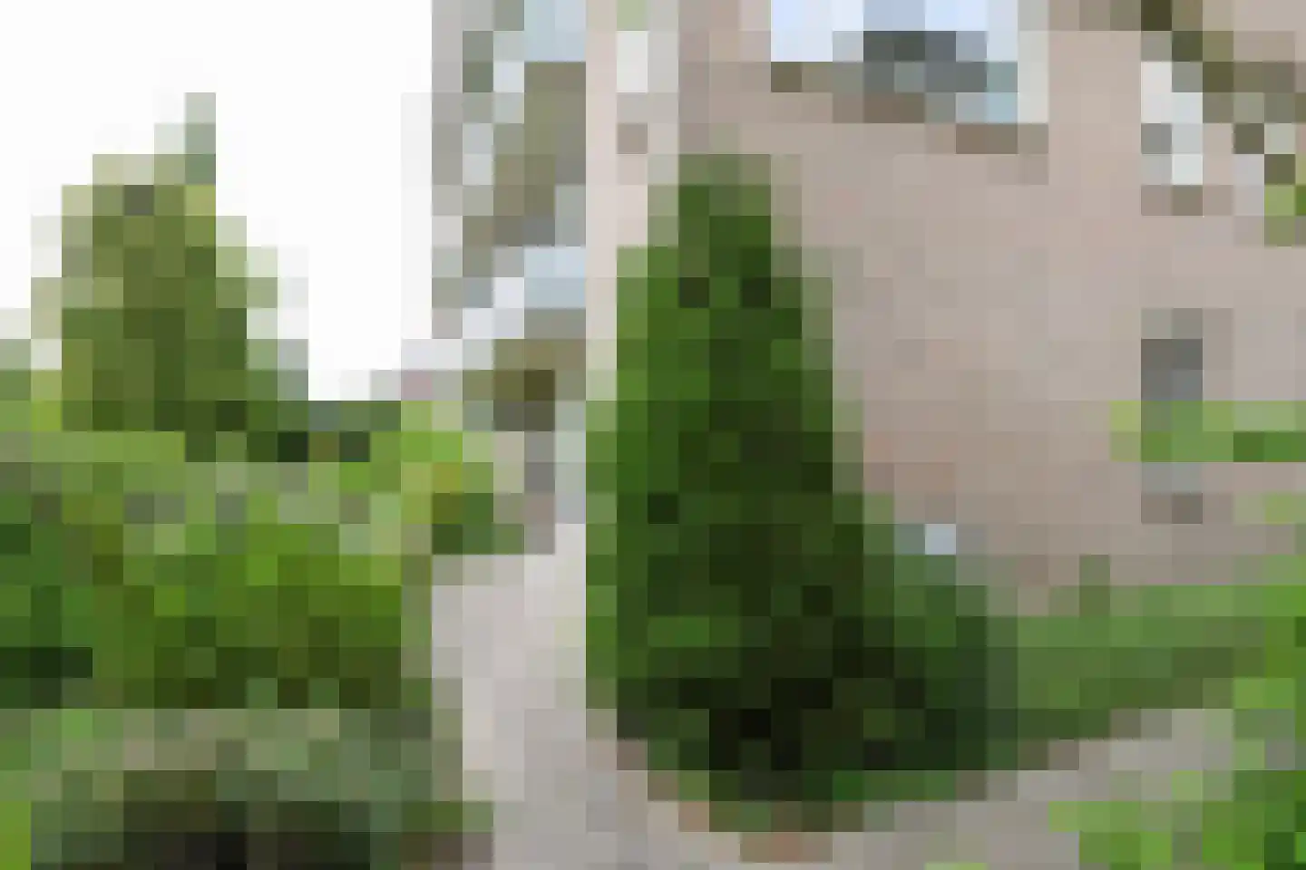 Slotlaan 3 Oostvoorne thumbnail 50