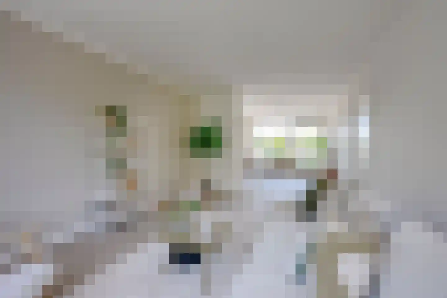 Slotlaan 30 3 Zeist thumbnail 20