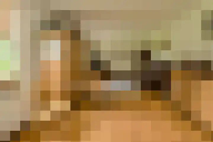 Slotlaan 30 Oosterhout thumbnail 16