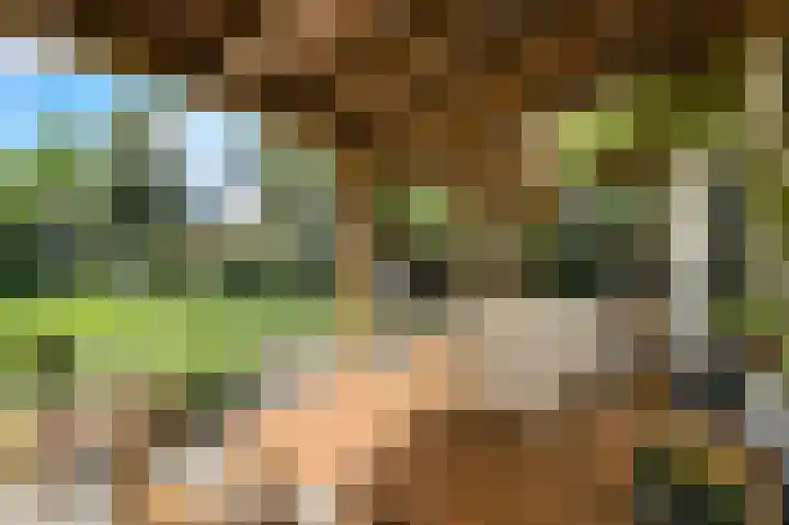 Slotlaan 30 Oosterhout thumbnail 42