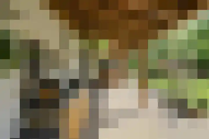 Slotlaan 30 Oosterhout thumbnail 43