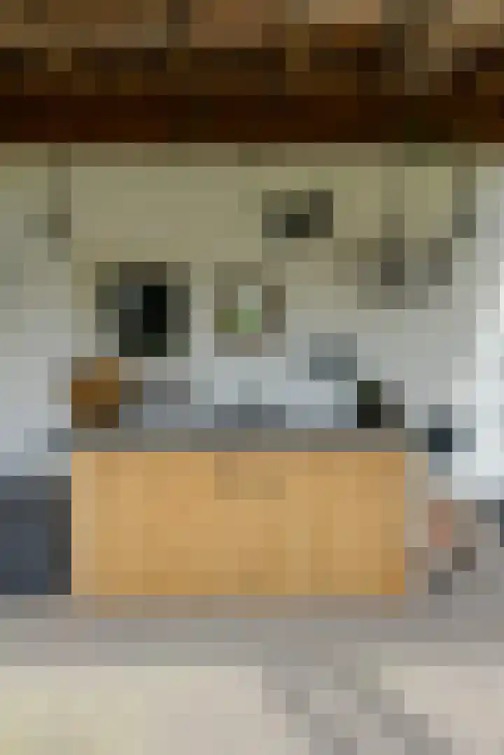 Slotlaan 30 Oosterhout thumbnail 44