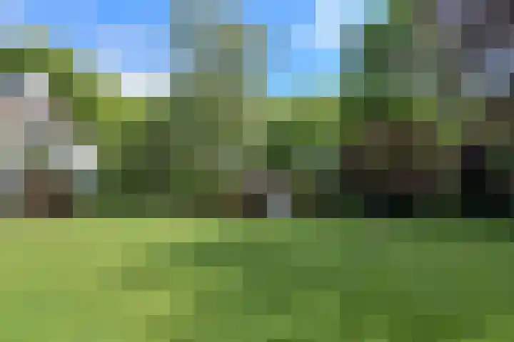 Slotlaan 30 Oosterhout thumbnail 46
