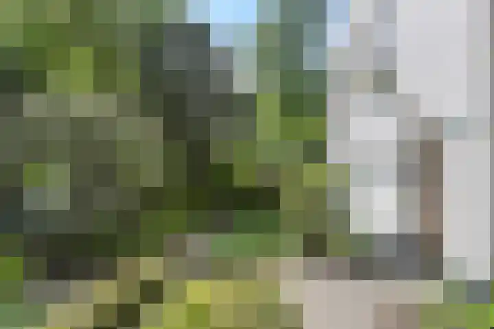 Slotlaan 30 Oosterhout thumbnail 6