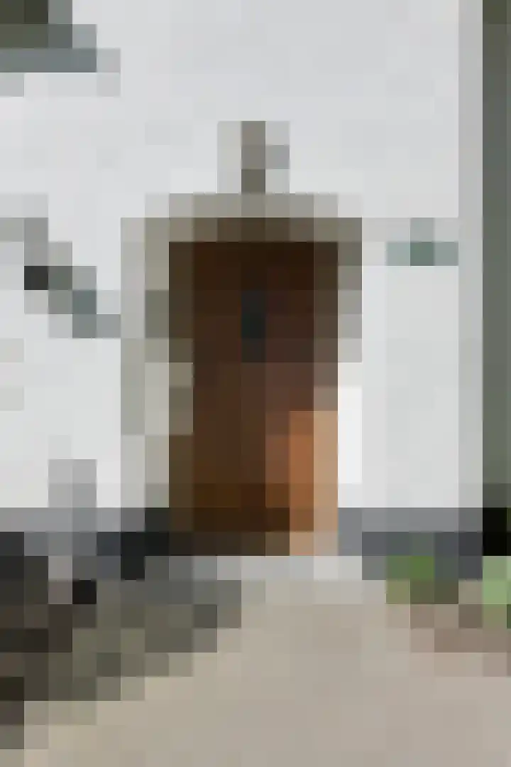 Slotlaan 30 Oosterhout thumbnail 7