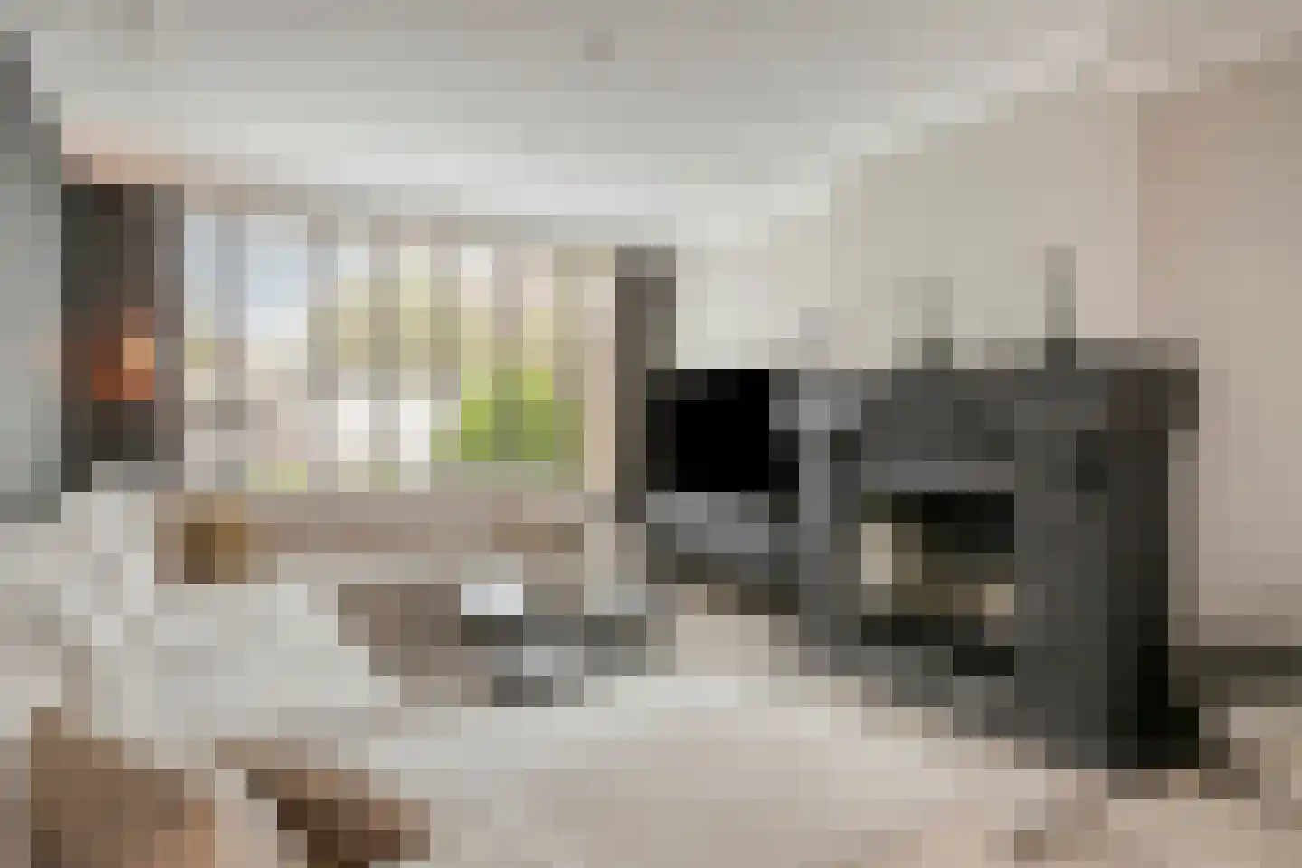 Slotlaan 32 Etten-Leur thumbnail 13