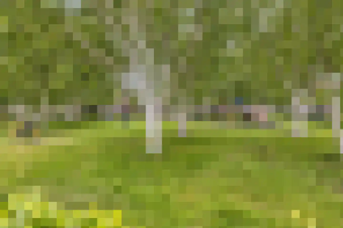 Slotlaan 32 Etten-Leur thumbnail 46