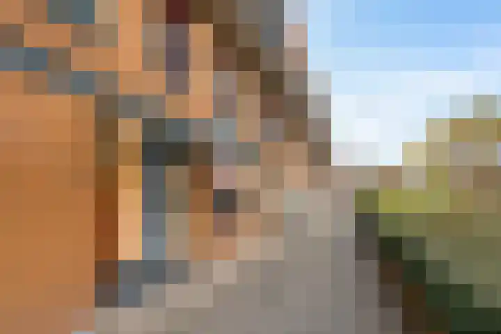 Slotlaan 331 Zeist thumbnail 22