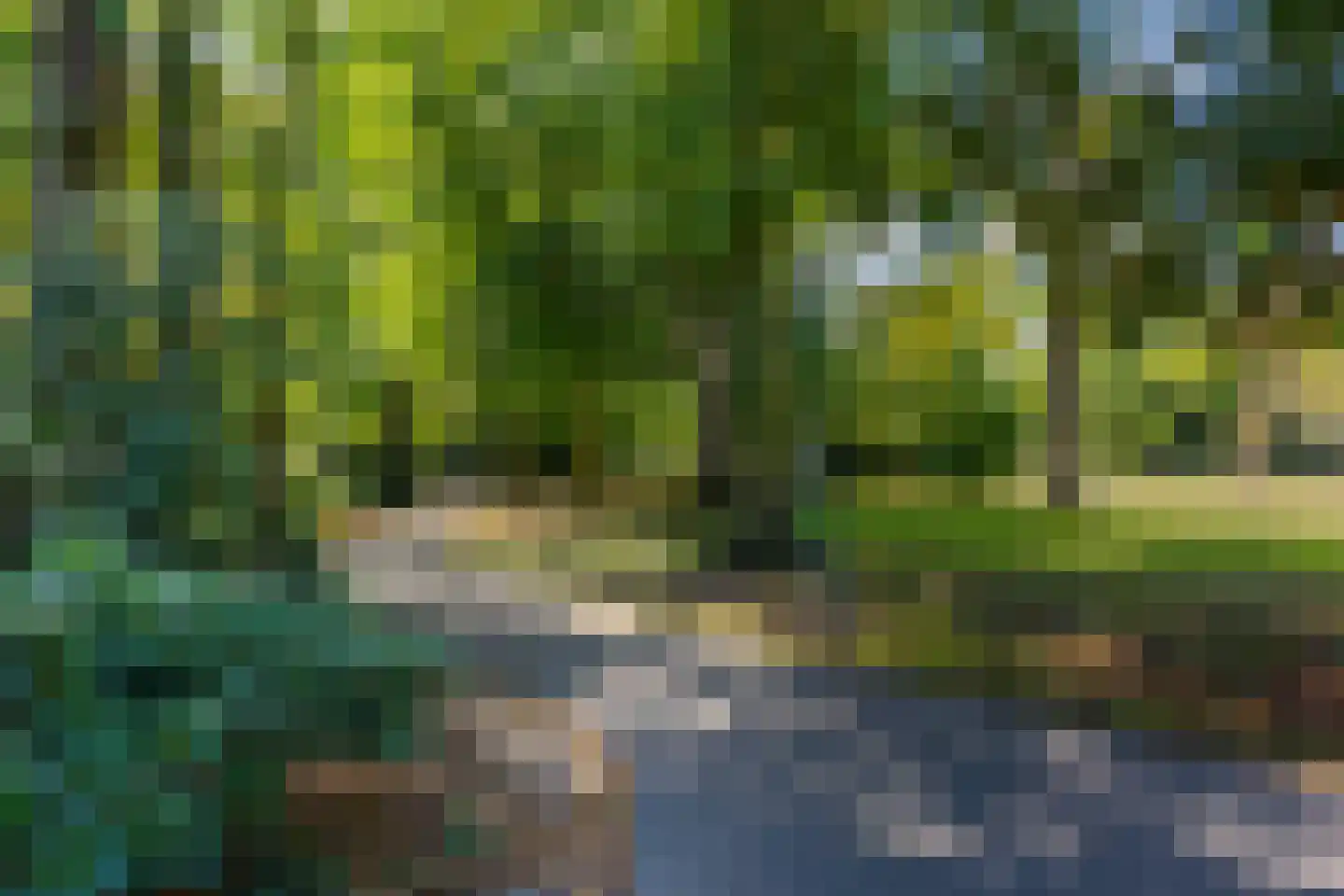 Slotlaan 34 4 Zeist thumbnail 39