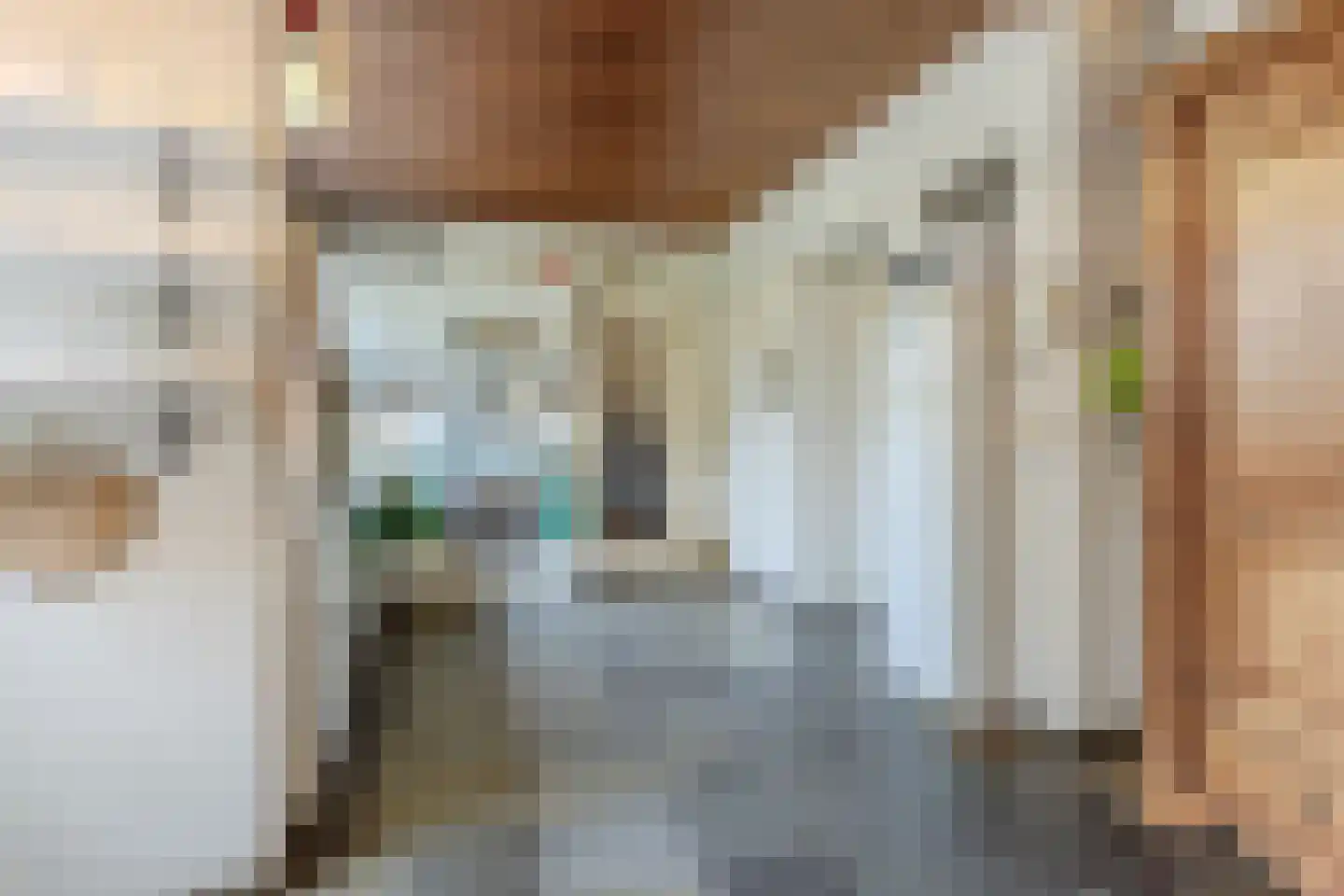Slotlaan 34 Oosterhout thumbnail 17