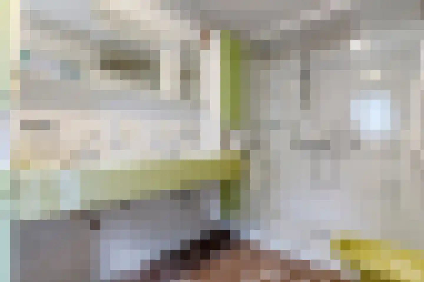Slotlaan 34 Oosterhout thumbnail 24