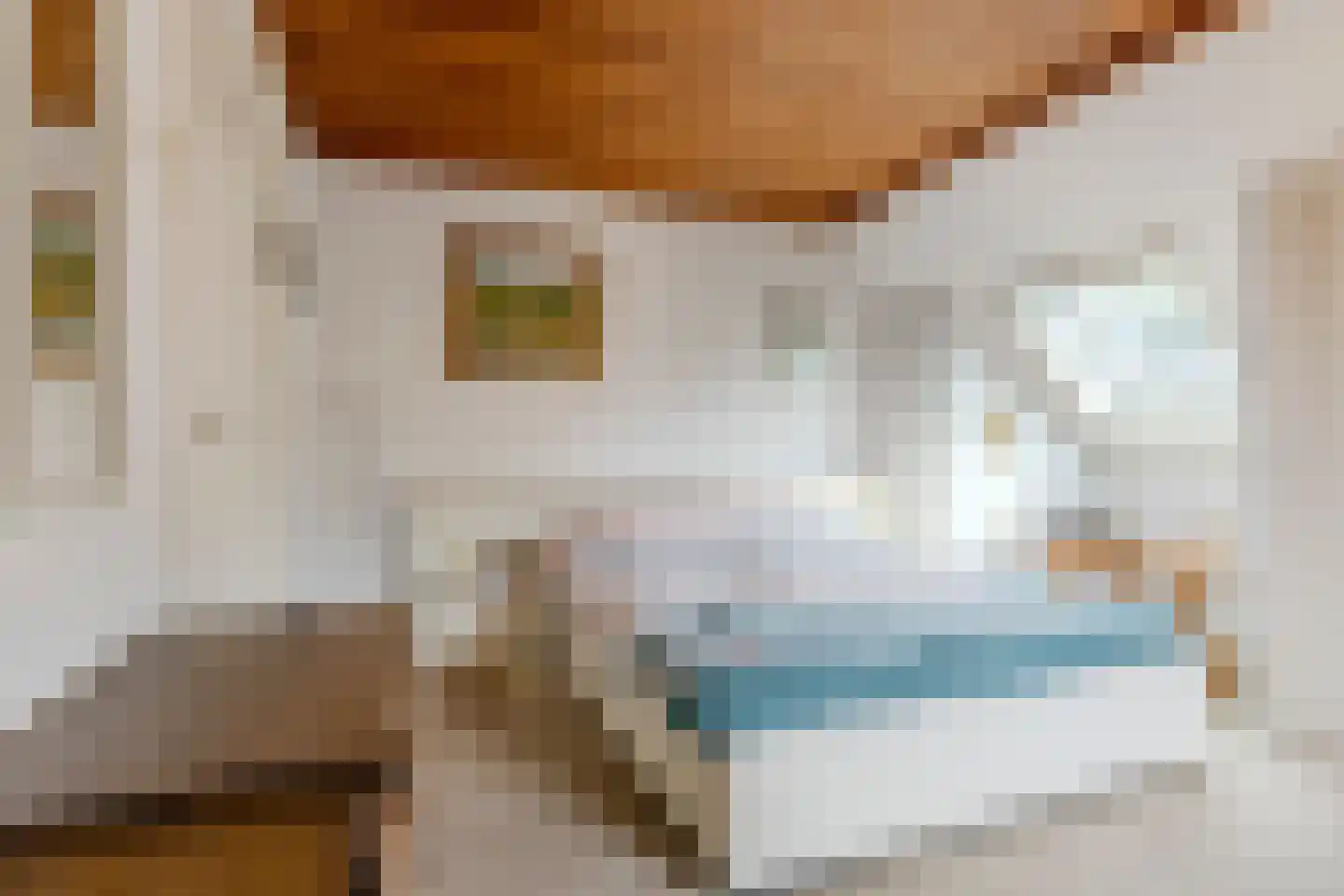 Slotlaan 34 Oosterhout thumbnail 48