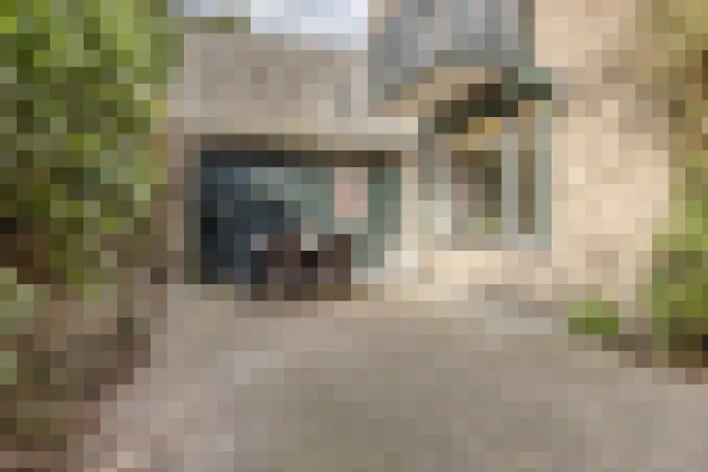 Slotlaan 34 Oosterhout thumbnail 58