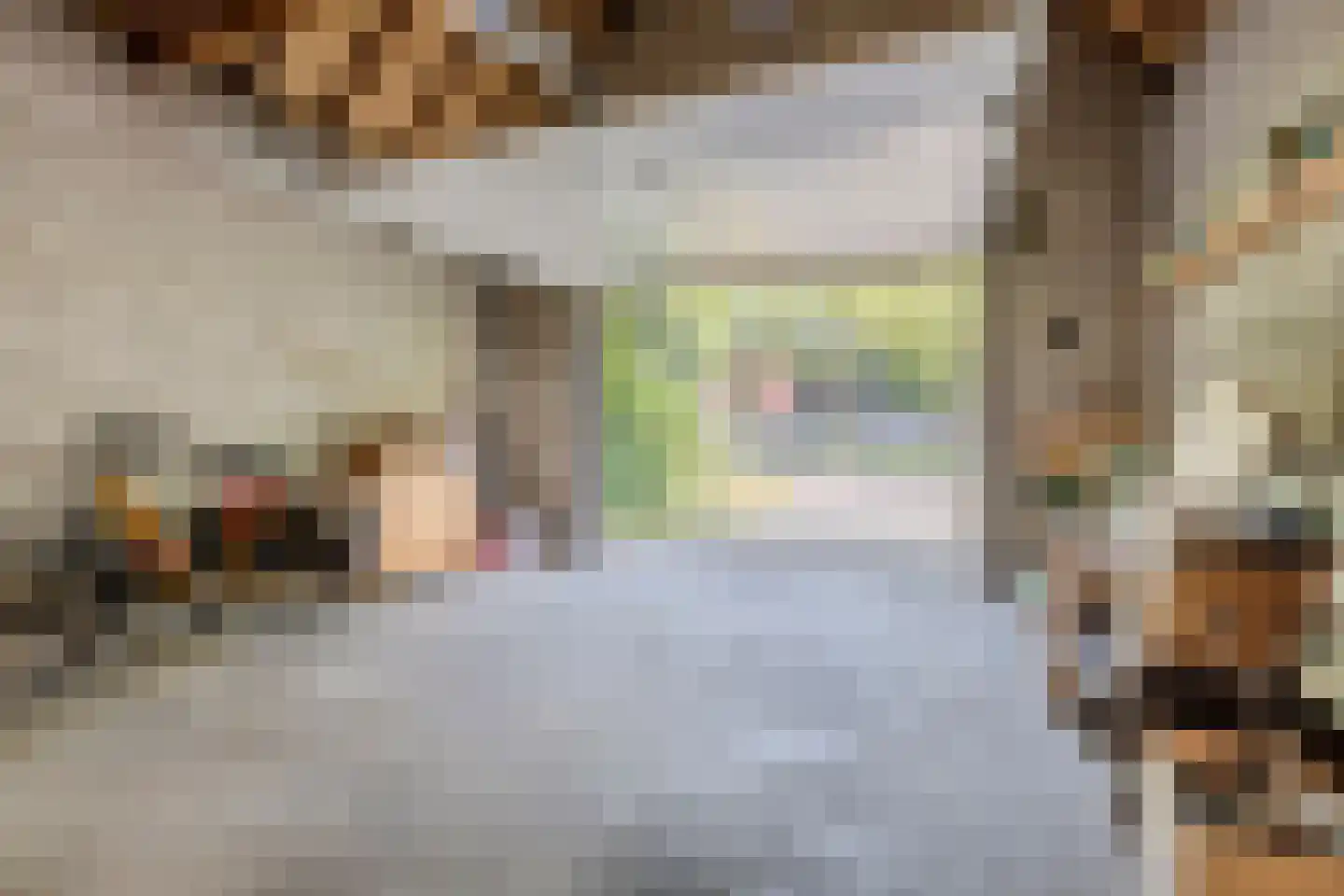 Slotlaan 34 Oosterhout thumbnail 63