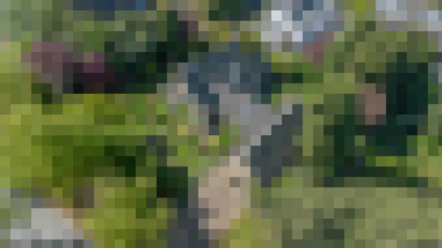 Slotlaan 34 Oosterhout thumbnail 67