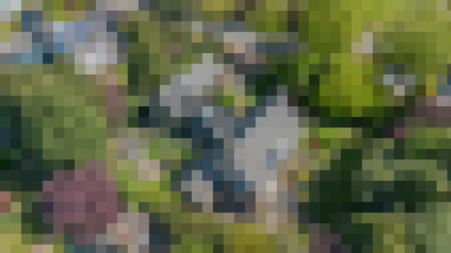Slotlaan 34 Oosterhout thumbnail 68
