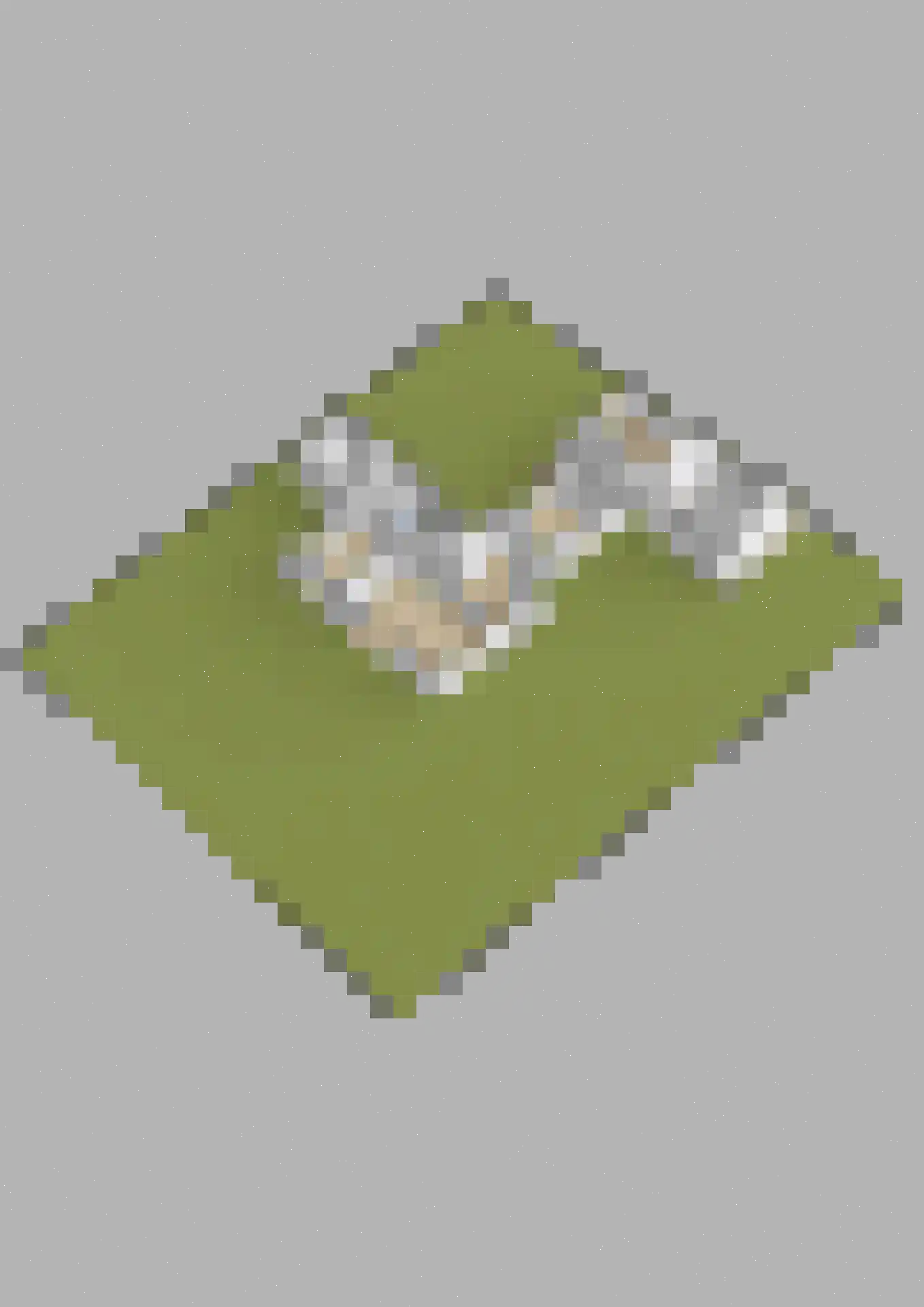 Slotlaan 34 Oosterhout thumbnail 80