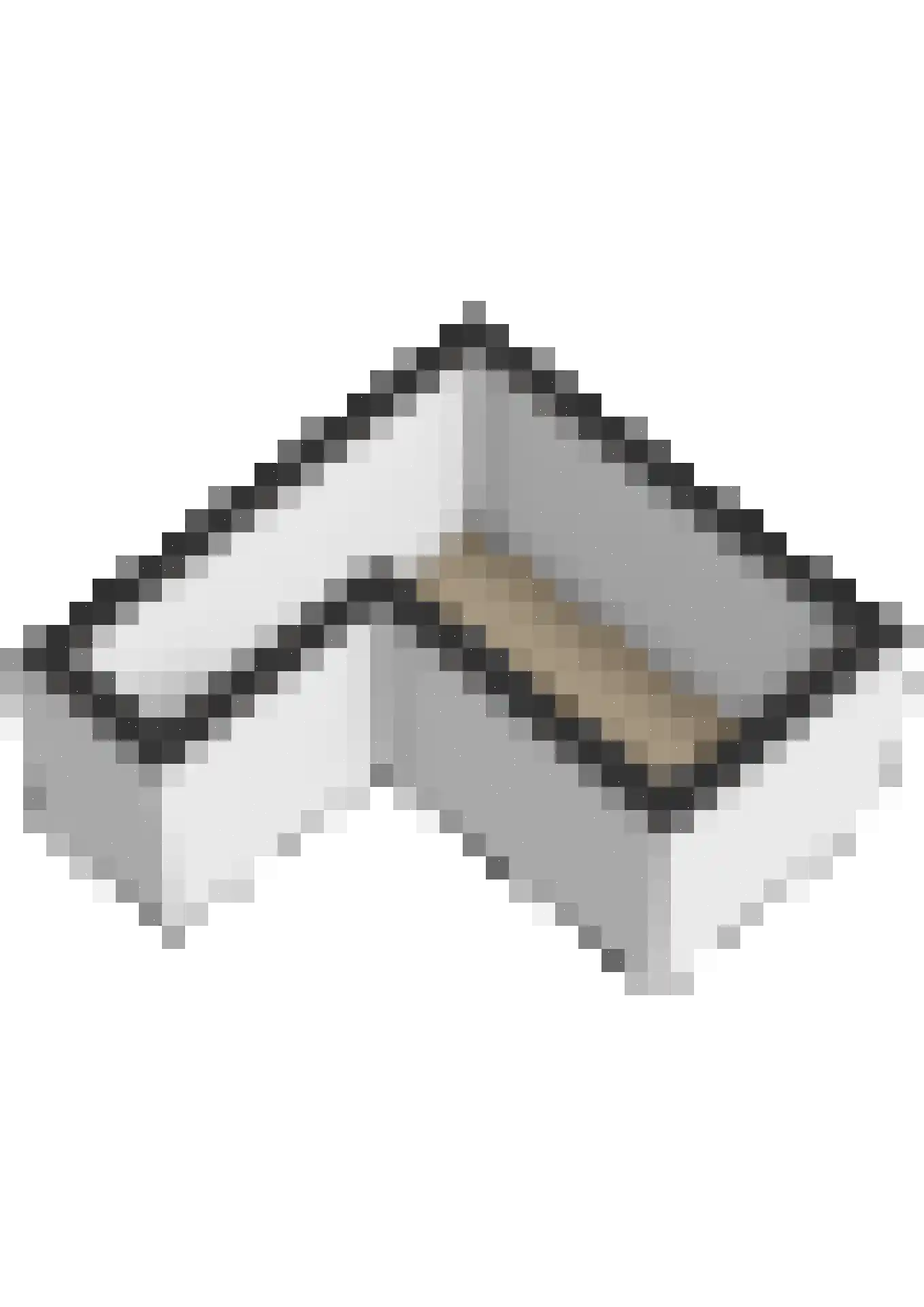 Slotlaan 34 Oosterhout thumbnail 83