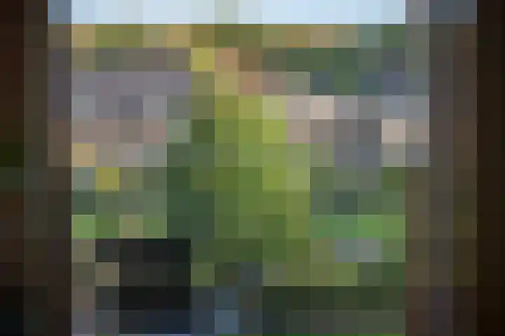 Slotlaan 377 Zeist thumbnail 15