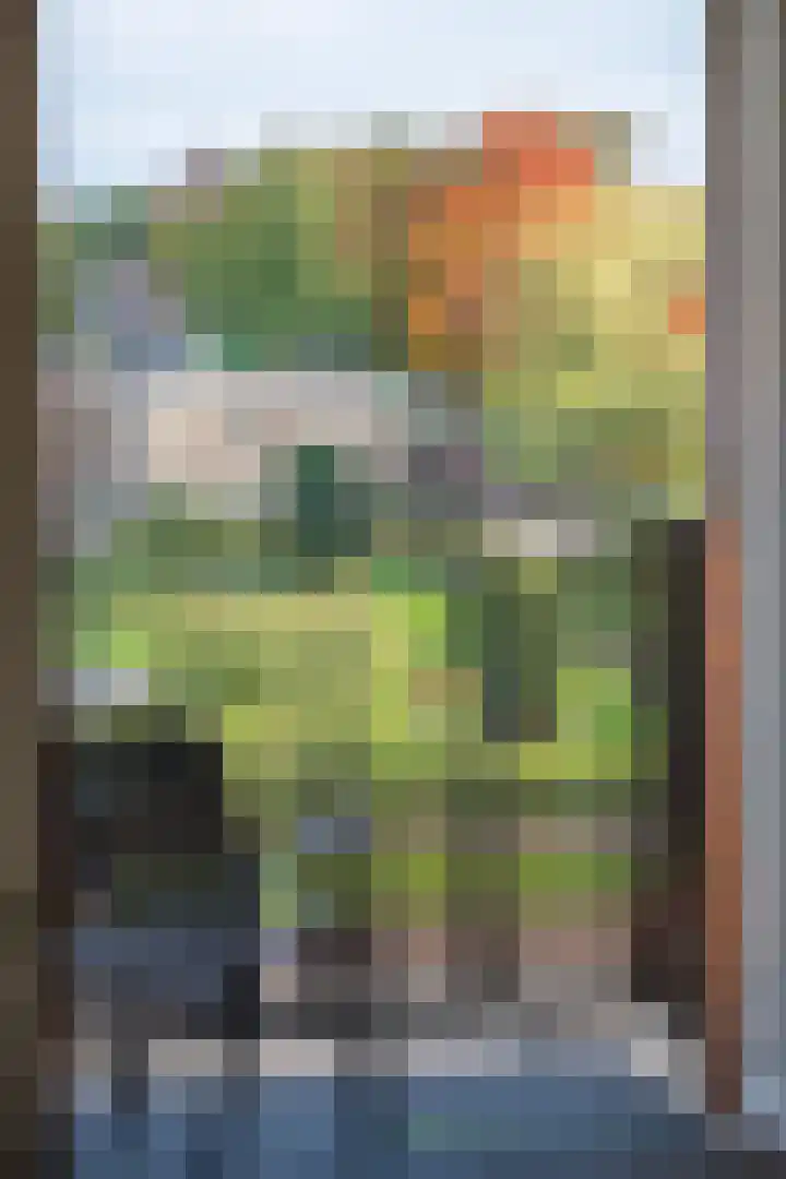 Slotlaan 377 Zeist thumbnail 16