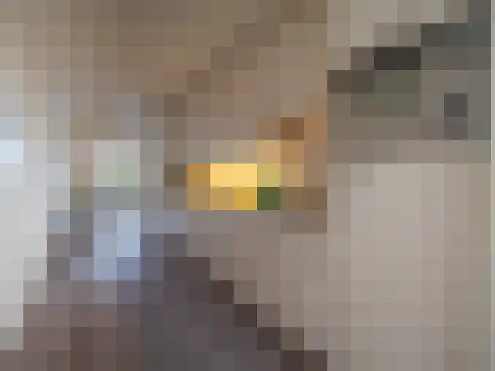 Slotlaan 377 Zeist thumbnail 18