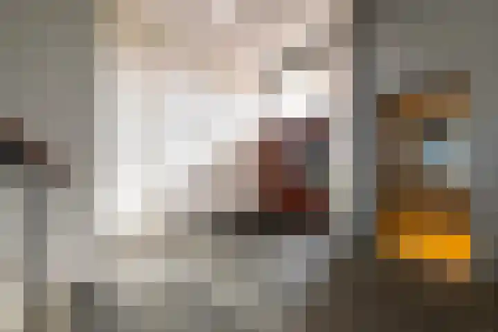 Slotlaan 377 Zeist thumbnail 37
