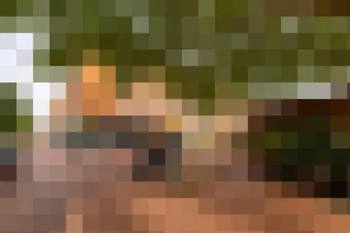 Slotlaan 377 Zeist thumbnail 39