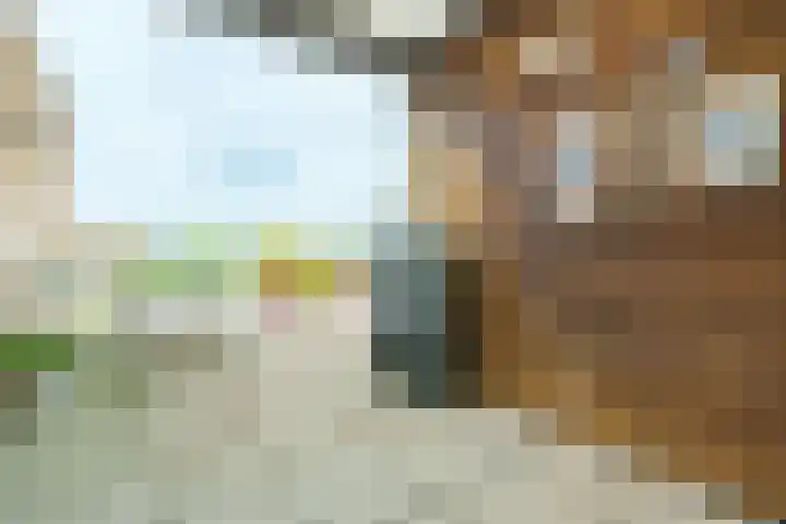 Slotlaan 379 Zeist thumbnail 18