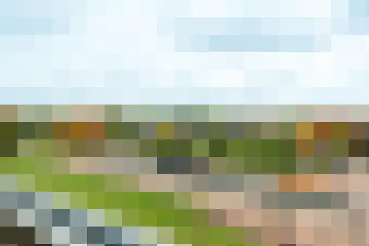 Slotlaan 379 Zeist thumbnail 23