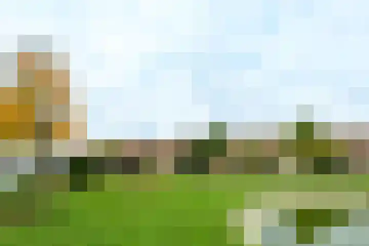 Slotlaan 379 Zeist thumbnail 30