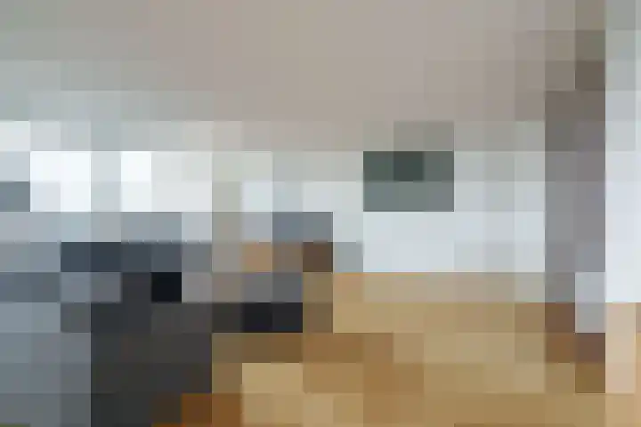 Slotlaan 379 Zeist thumbnail 4