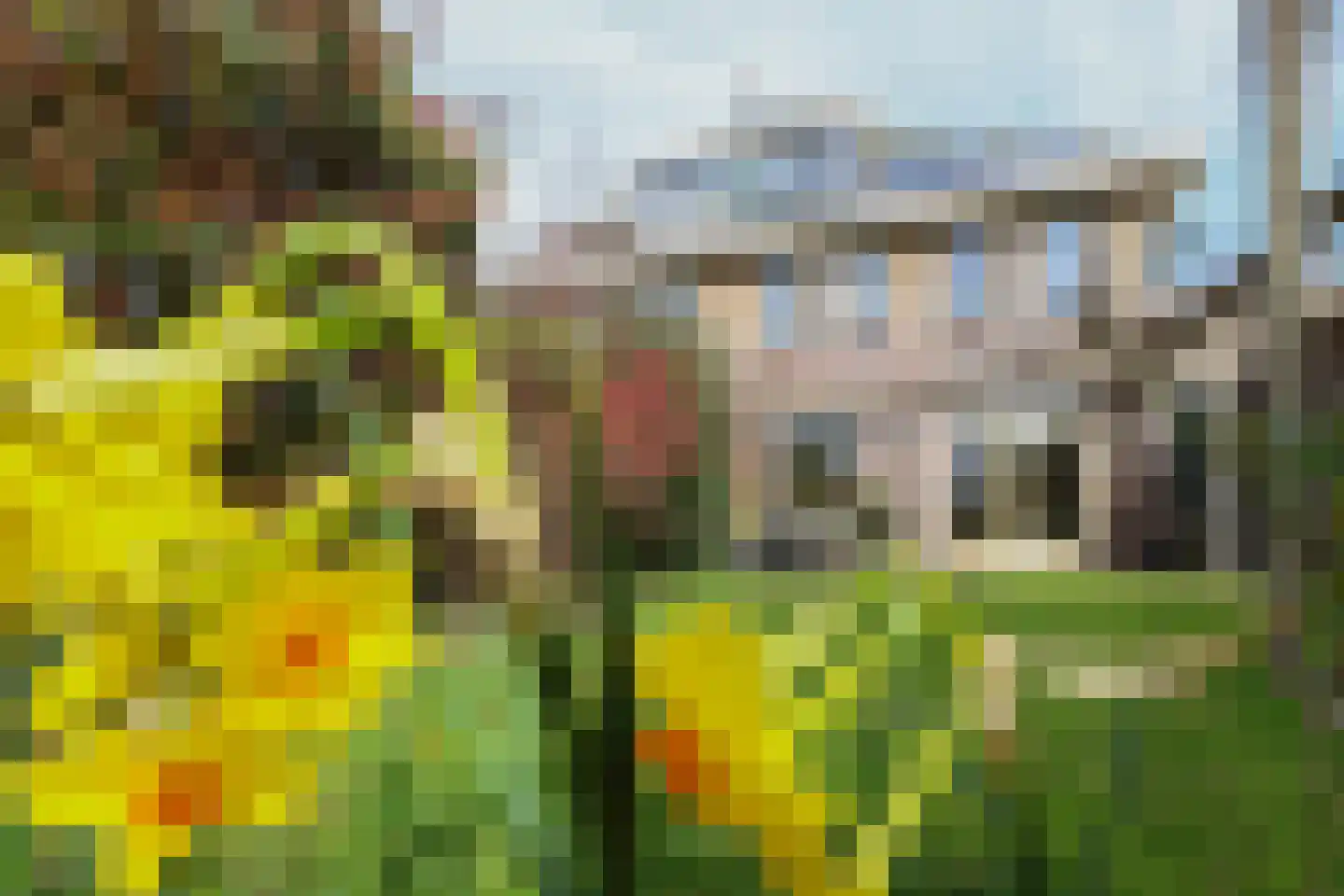 Slotlaan 38 Oostvoorne foto 3