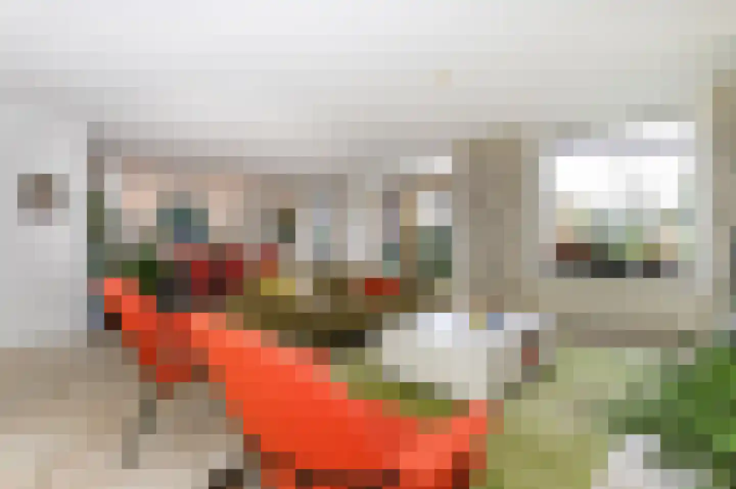 Slotlaan 38 Oostvoorne thumbnail 34