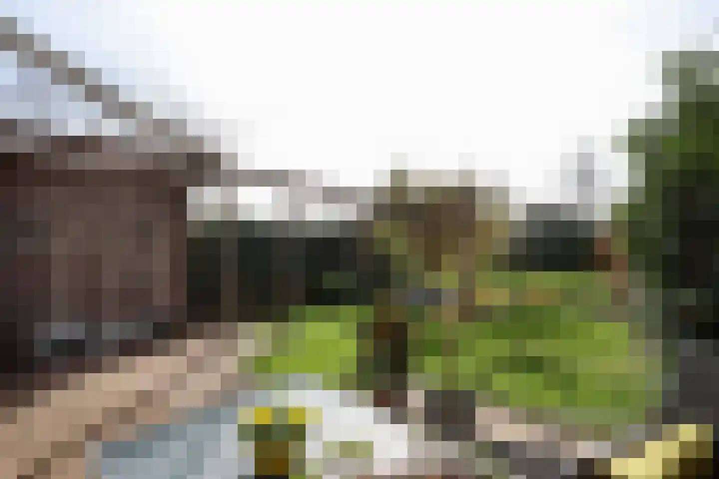 Slotlaan 38 Oostvoorne thumbnail 62