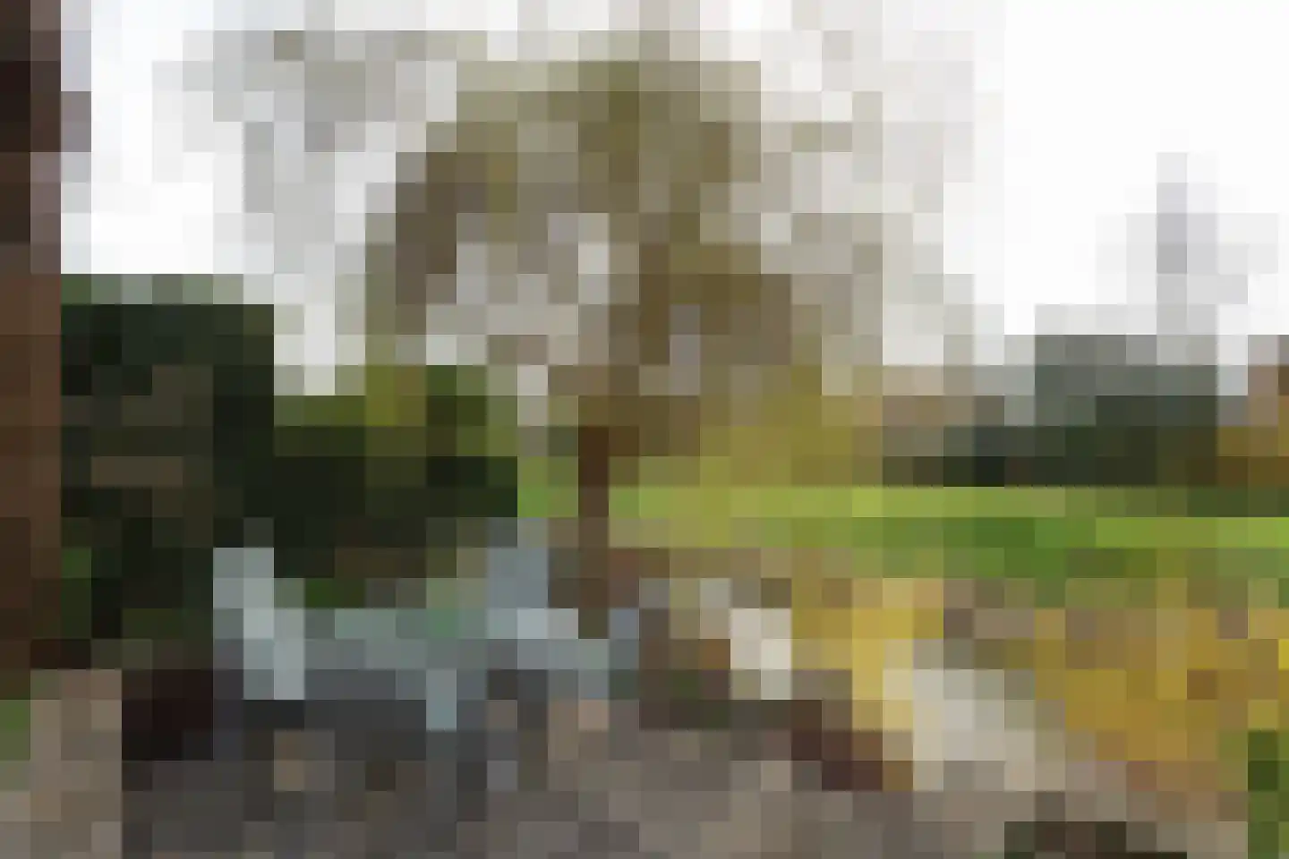 Slotlaan 38 Oostvoorne thumbnail 68