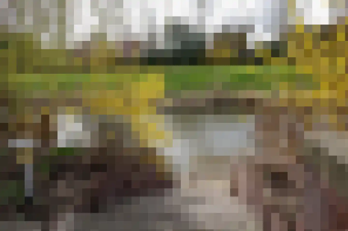 Slotlaan 38 Oostvoorne thumbnail 70