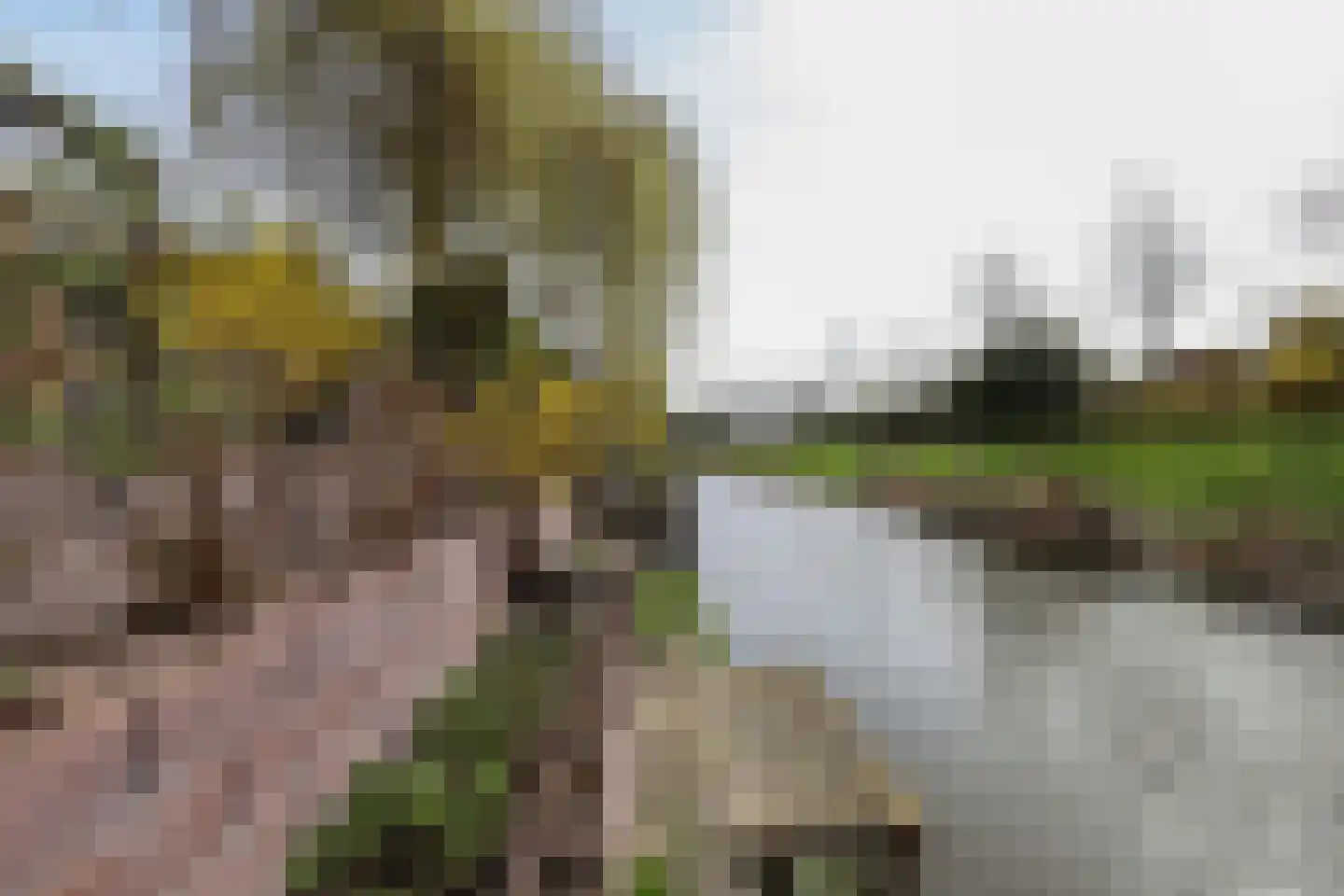 Slotlaan 38 Oostvoorne thumbnail 71