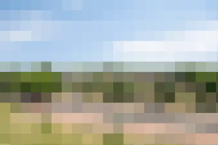 Slotlaan 395 Zeist thumbnail 16
