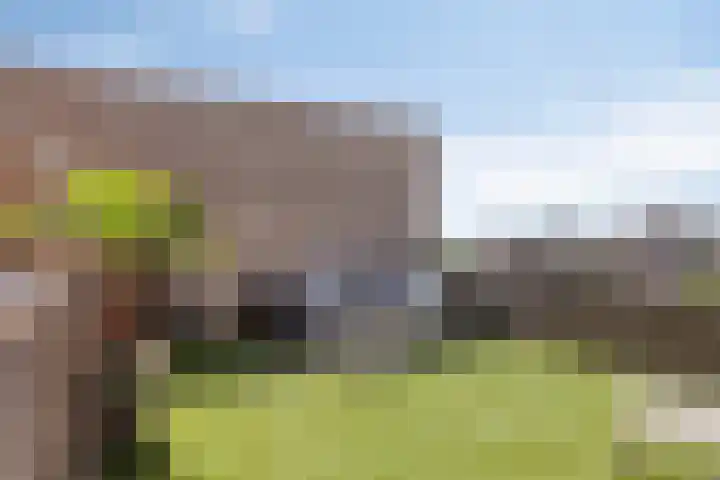 Slotlaan 395 Zeist thumbnail 35
