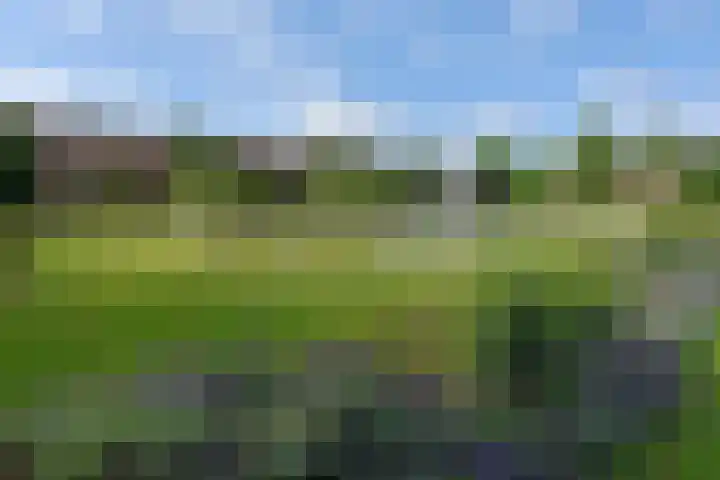 Slotlaan 395 Zeist thumbnail 41