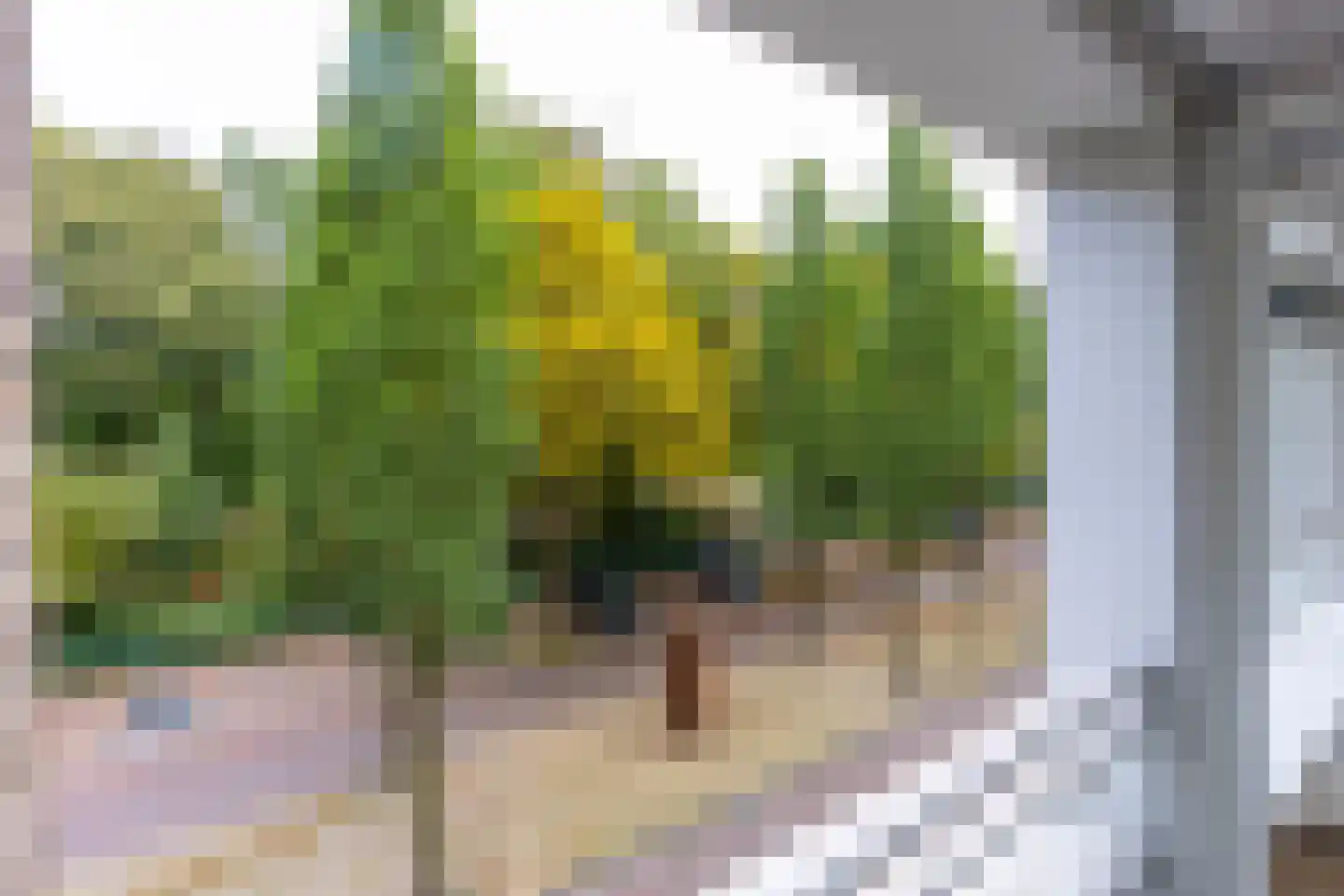 Slotlaan 40 2 Zeist thumbnail 18