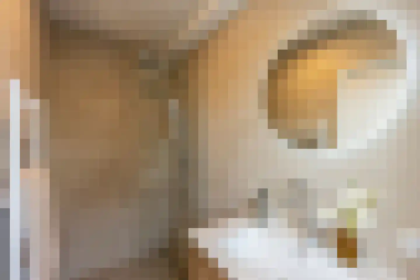 Slotlaan 40 2 Zeist thumbnail 35