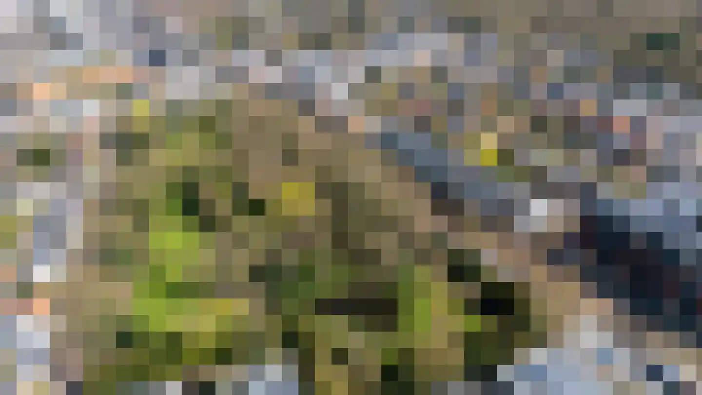 Slotlaan 40 5 Zeist thumbnail 41