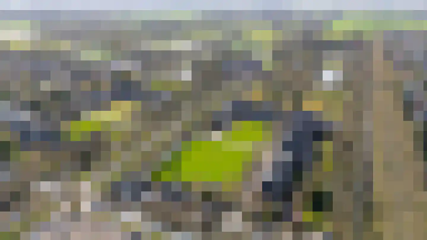 Slotlaan 40 5 Zeist thumbnail 44